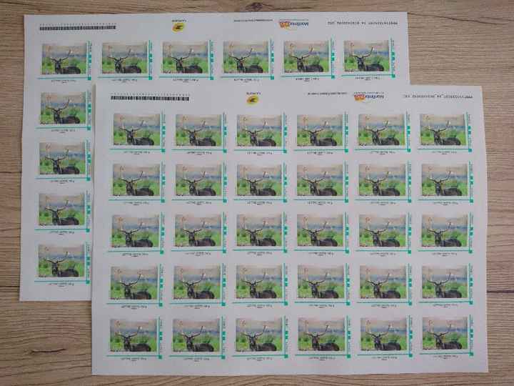Timbres personnalisés - 1