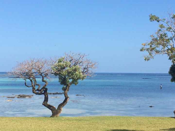 Ile maurice - 1