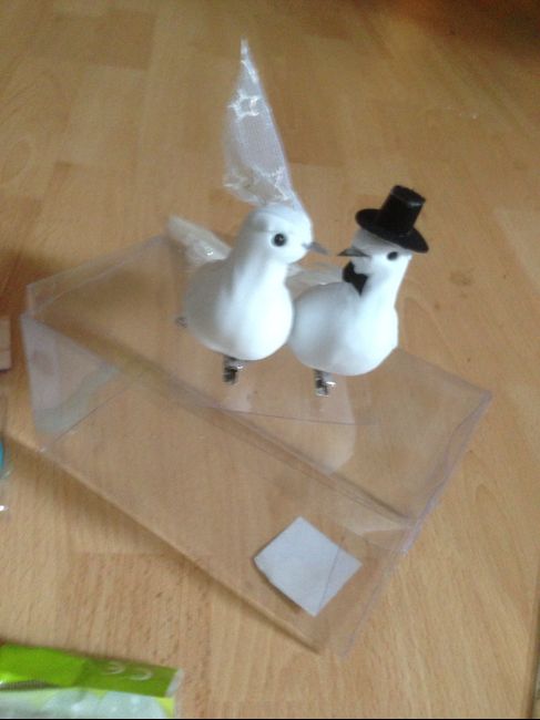 Couple de colombes mariée 