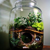 Terrarium 2