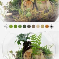 Terrarium 3