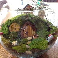 Terrarium 4
