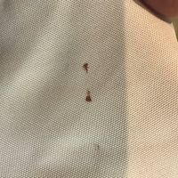 Attention au prestataire kb events - 4