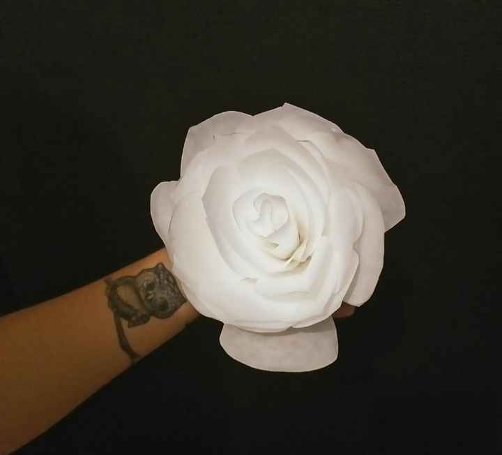 1ère essai rose 