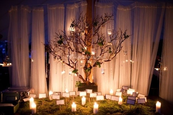 plan de table