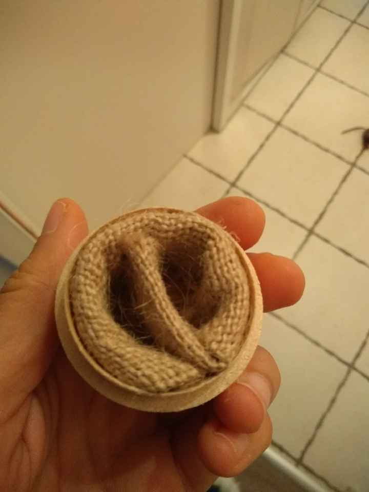  Alternative au mythique coussin d'alliances - 3