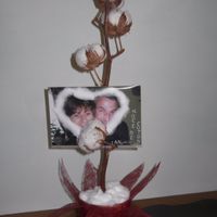 mon bouquet de coton