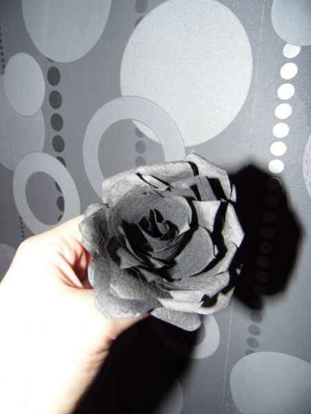 rose en filtre à café