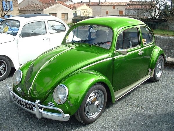 Coccinelle verte