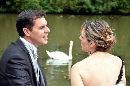 Romantique... même le cygne a posé lol