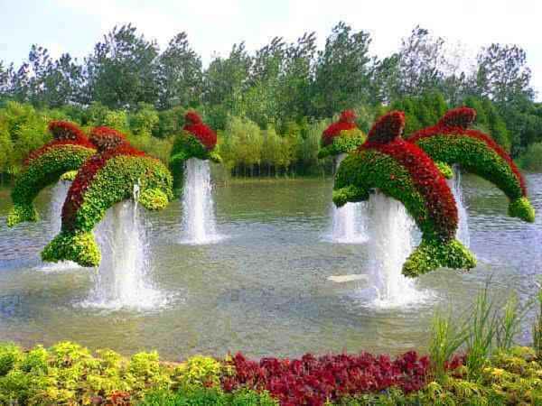 Parc pour photos 5