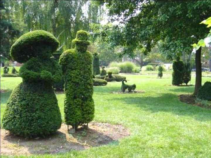 Parc pour photos 8