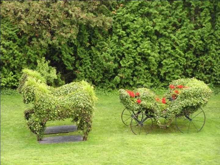 Parc pour photos 11
