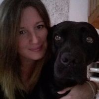 Le porteur des bagues