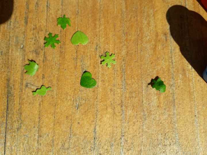 Confettis naturels - 1