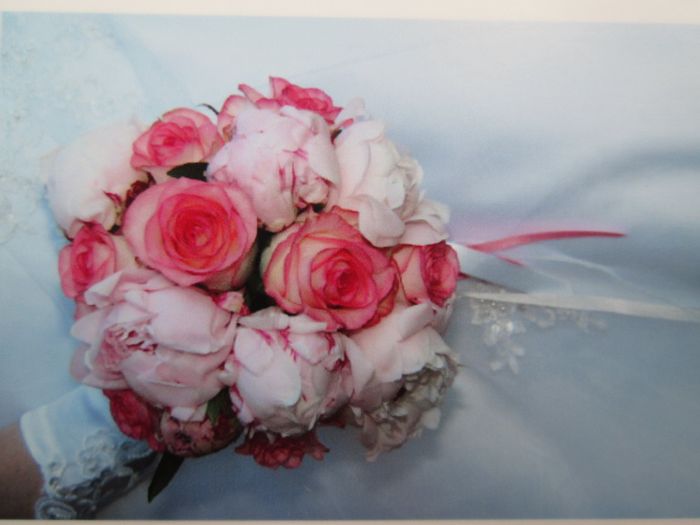 Pivoines sous tous les tons  - 1