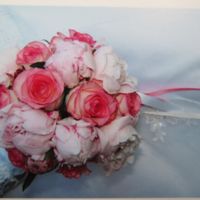 Pivoines sous tous les tons  - 1