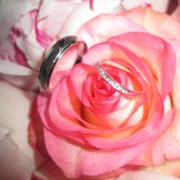 Photos de nos alliances regroupées! - 1