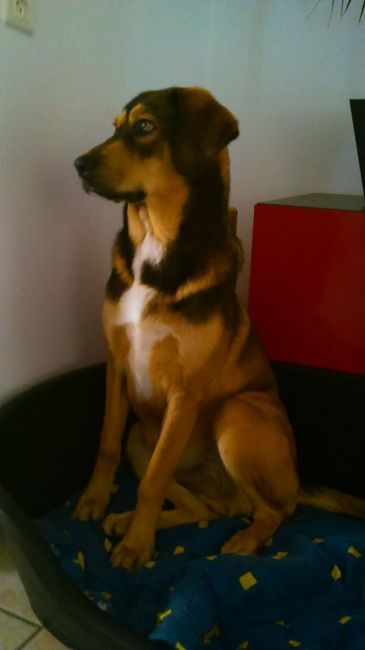 Notre Izack