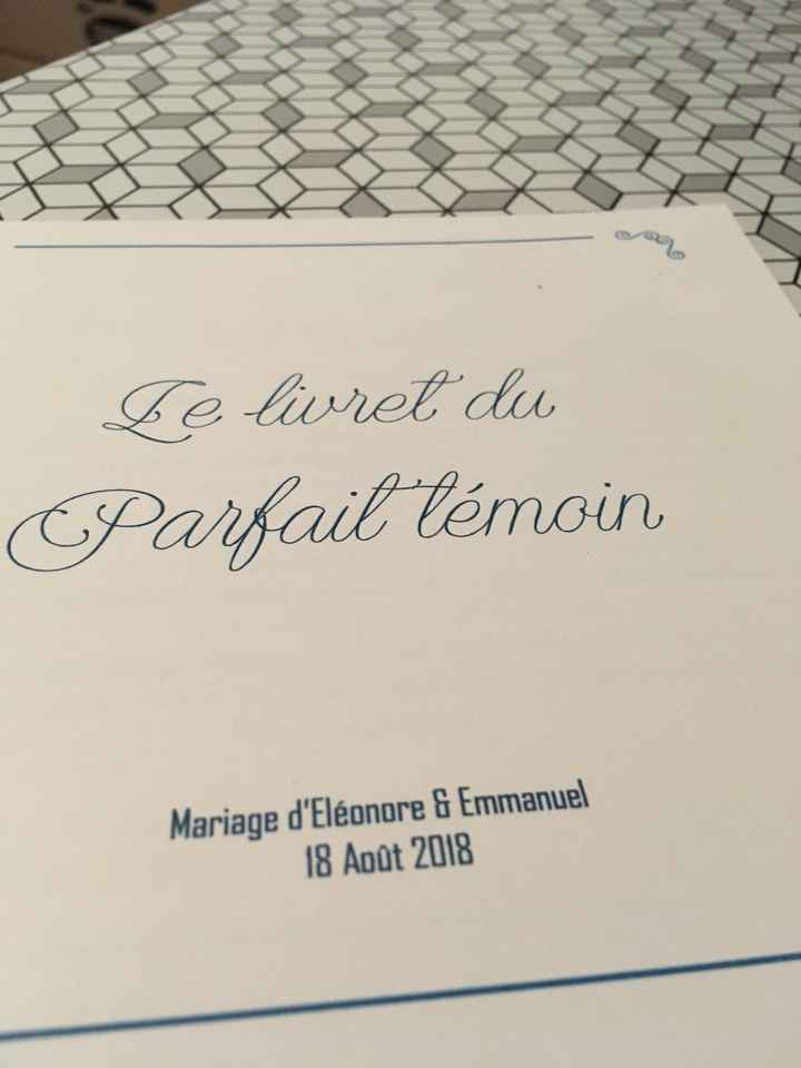 Suite et fin de la préparation des boxes des témoins - 1