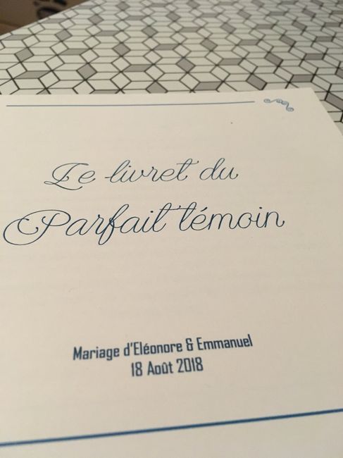 Suite et fin de la préparation des boxes des témoins - 1