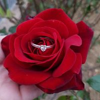 Montrez-moi votre bague de fiançailles #1 - 1