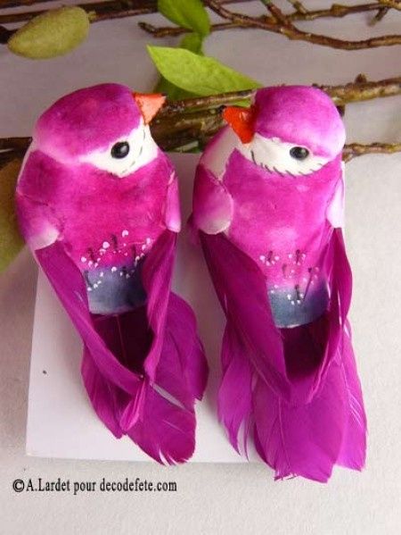 petit oiseaux
