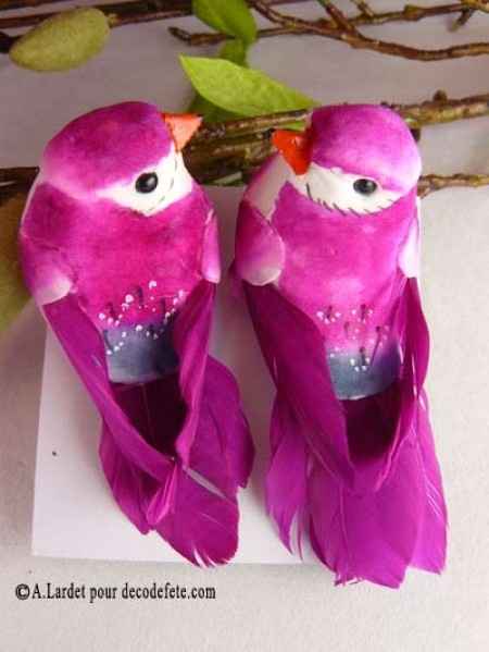 petit oiseaux