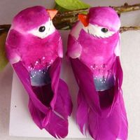 petit oiseaux