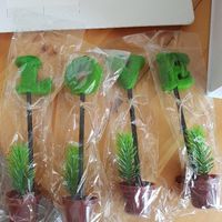 Décoration thème nature couleur pêche et blanc - 8