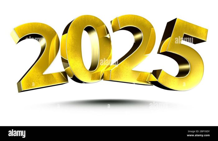 Team 2025 1