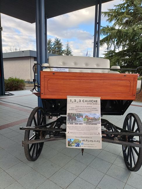 Véhicule des mariés 13