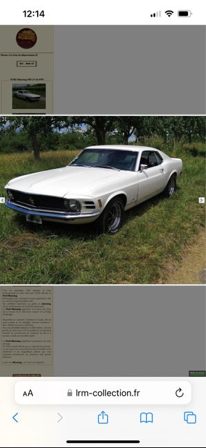 Véhicule des mariés 4