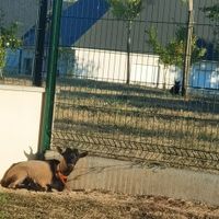 Enterrement de vie de célibataire - 2