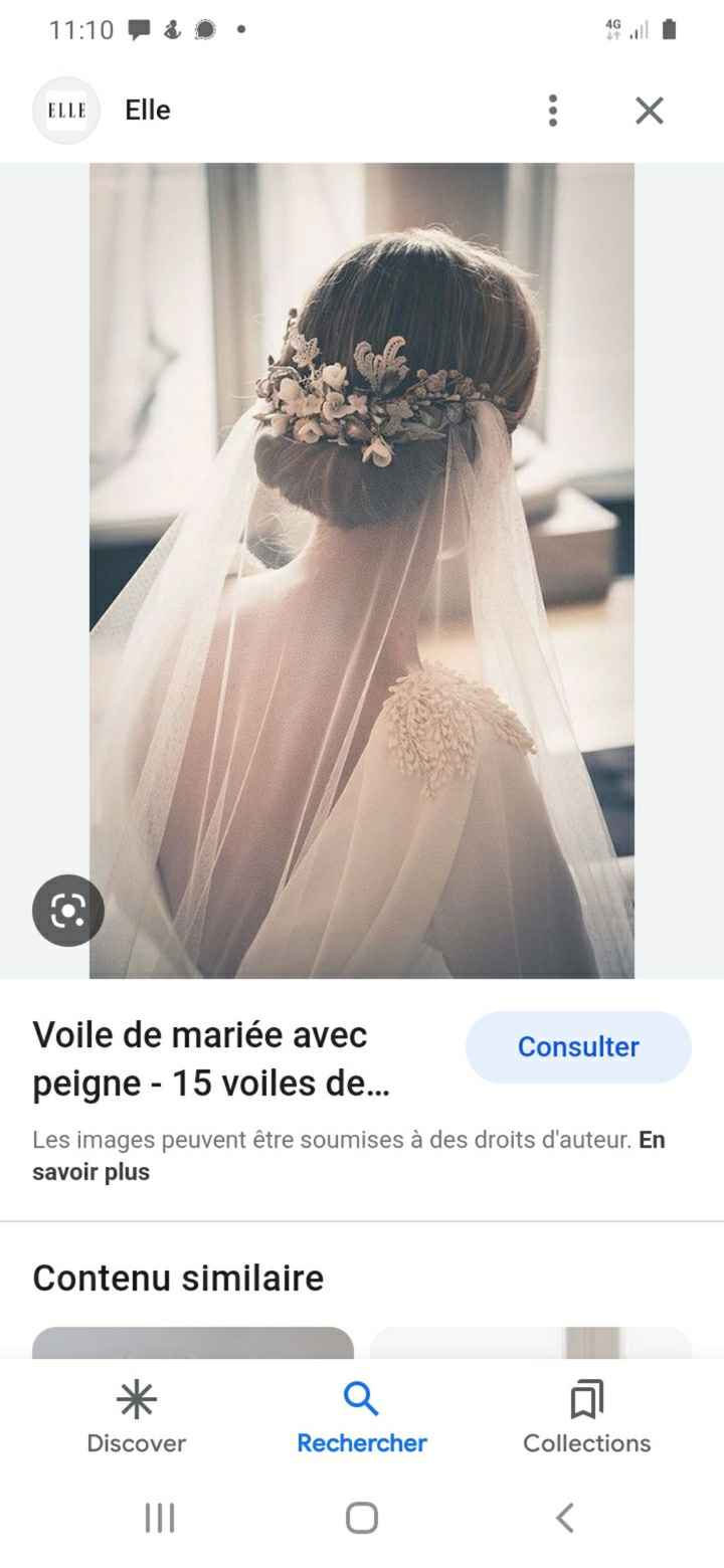 Accessoire coiffure + voile - 1