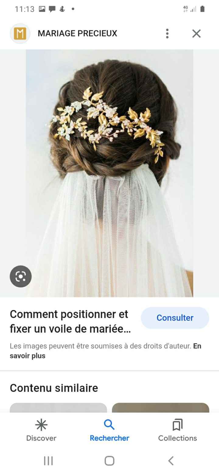 Accessoire coiffure + voile - 2