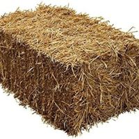 Recherche ballo de paille - 1