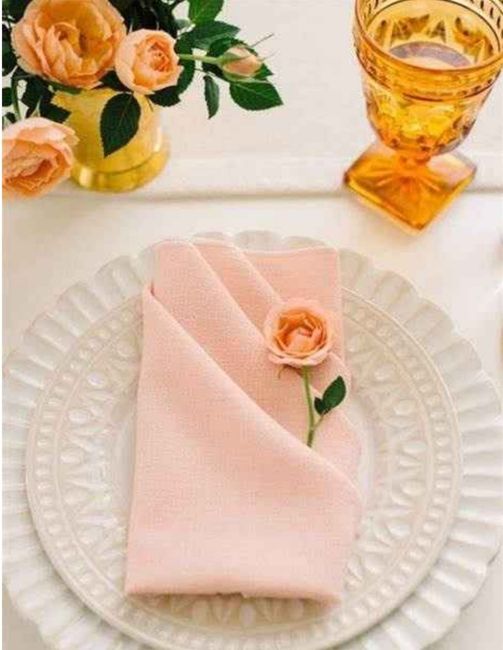 De quelle couleur seront vos serviettes ? 4