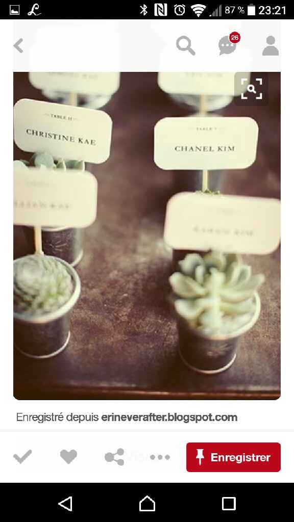 Ou trouver des cactus pas cher ? - 2