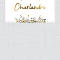 Comment s'appellerait ton Super-Couple ? 🦸‍♀️❤️ - 1