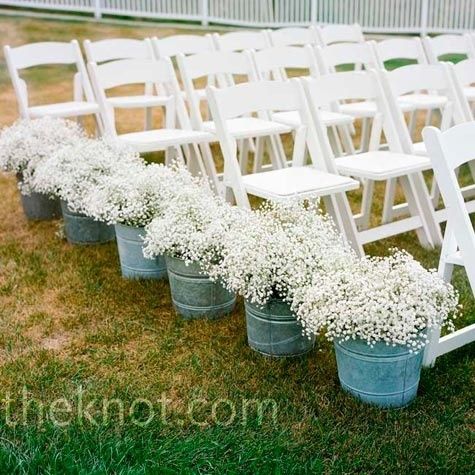 seau de gypsophile 