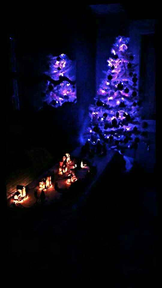 Mes loulous ont fait le sapin! - 2