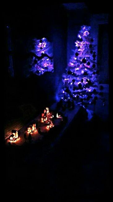 Mes loulous ont fait le sapin! - 2