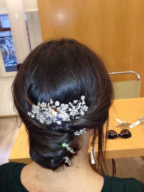 Accessoire de mon chignon (2)