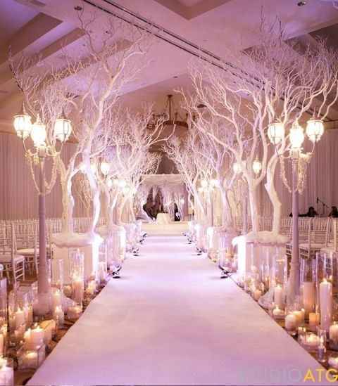 allée avec des "arbres