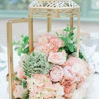 Decoration rose & gold - 1