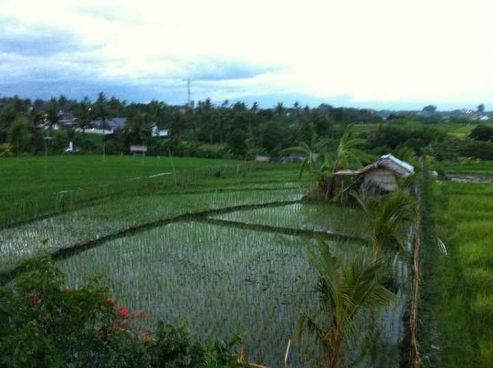 Bali -  vue de notre villa
