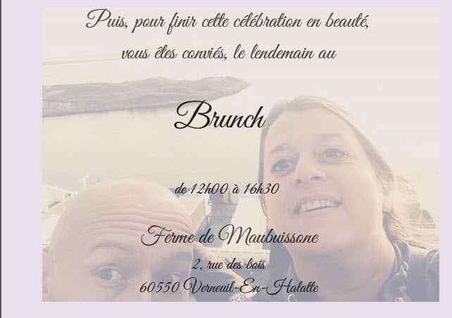 carton brunch v2