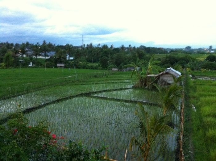 Bali -  vue de notre villa