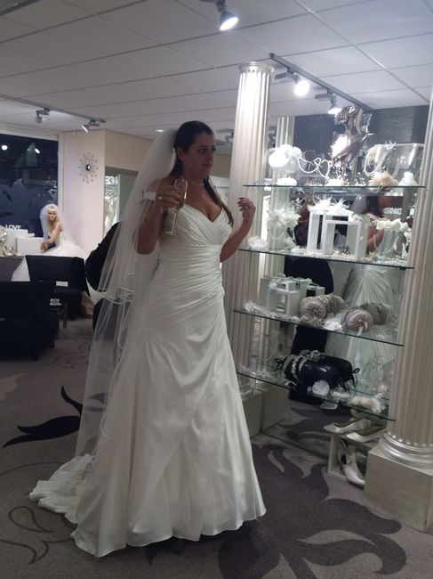 Journal d'une mariée - La robe de mariée - 1